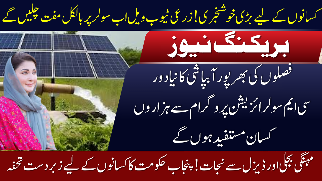 CM Solarization Program