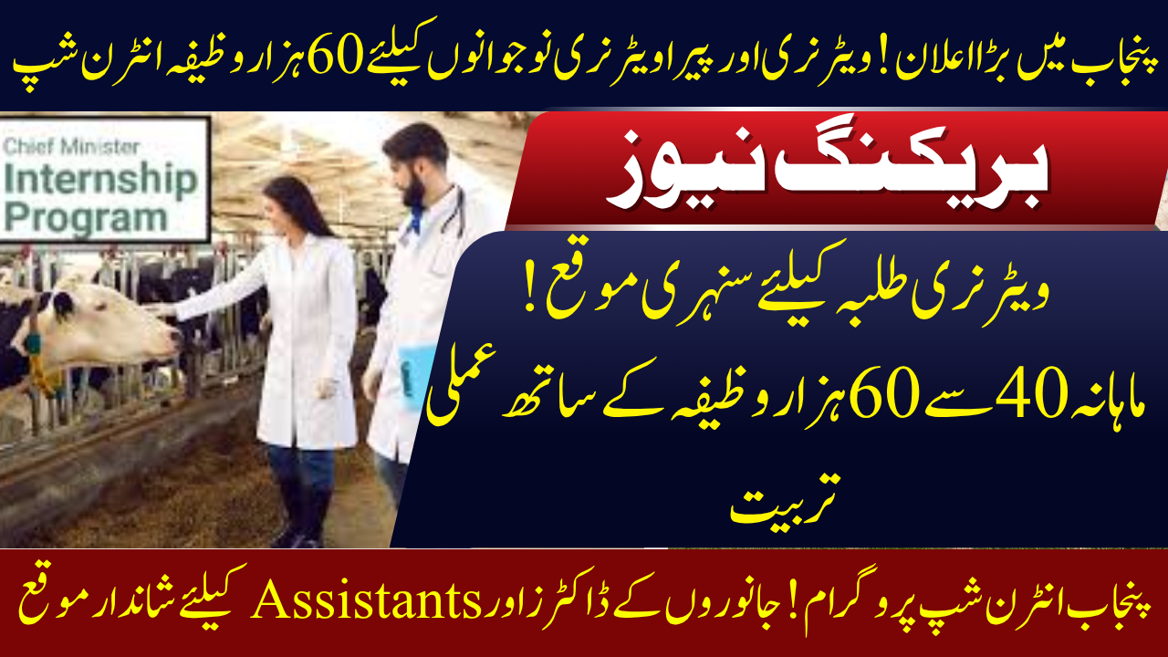 Punjab Internship Program