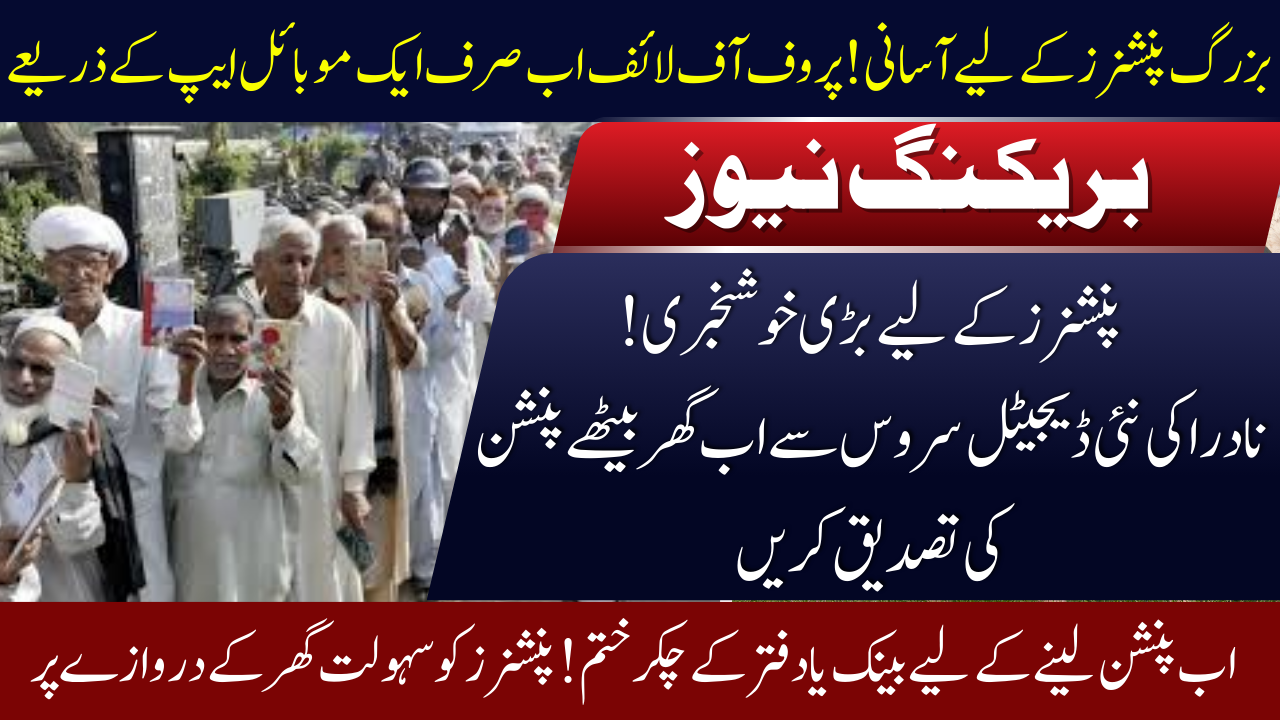 Digital Services for Pensioners