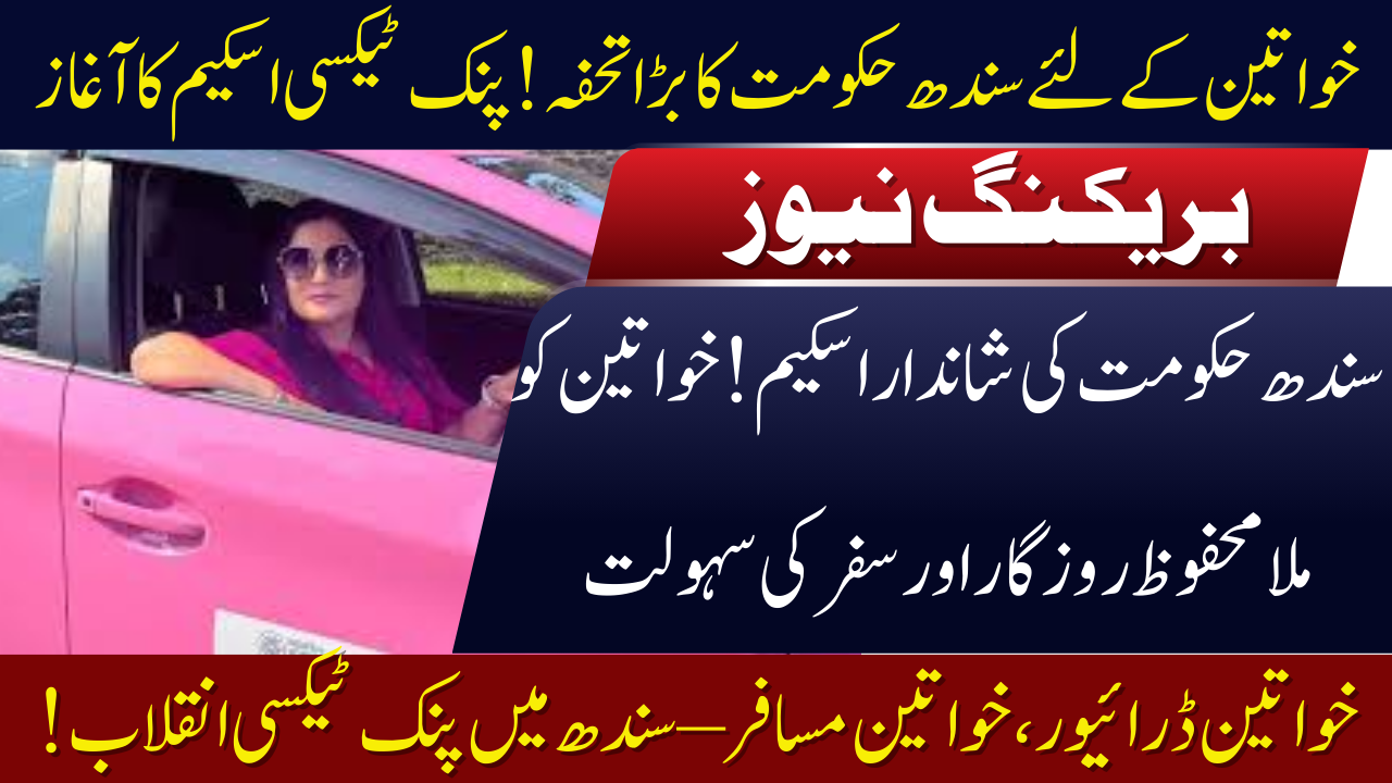 Pink Taxi Scheme