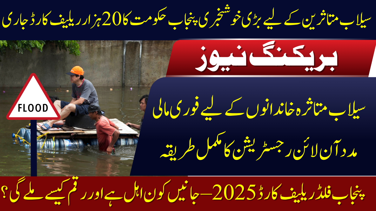 Punjab Flood Relief Card