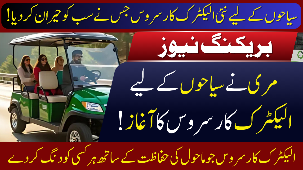 Electric Car Service
