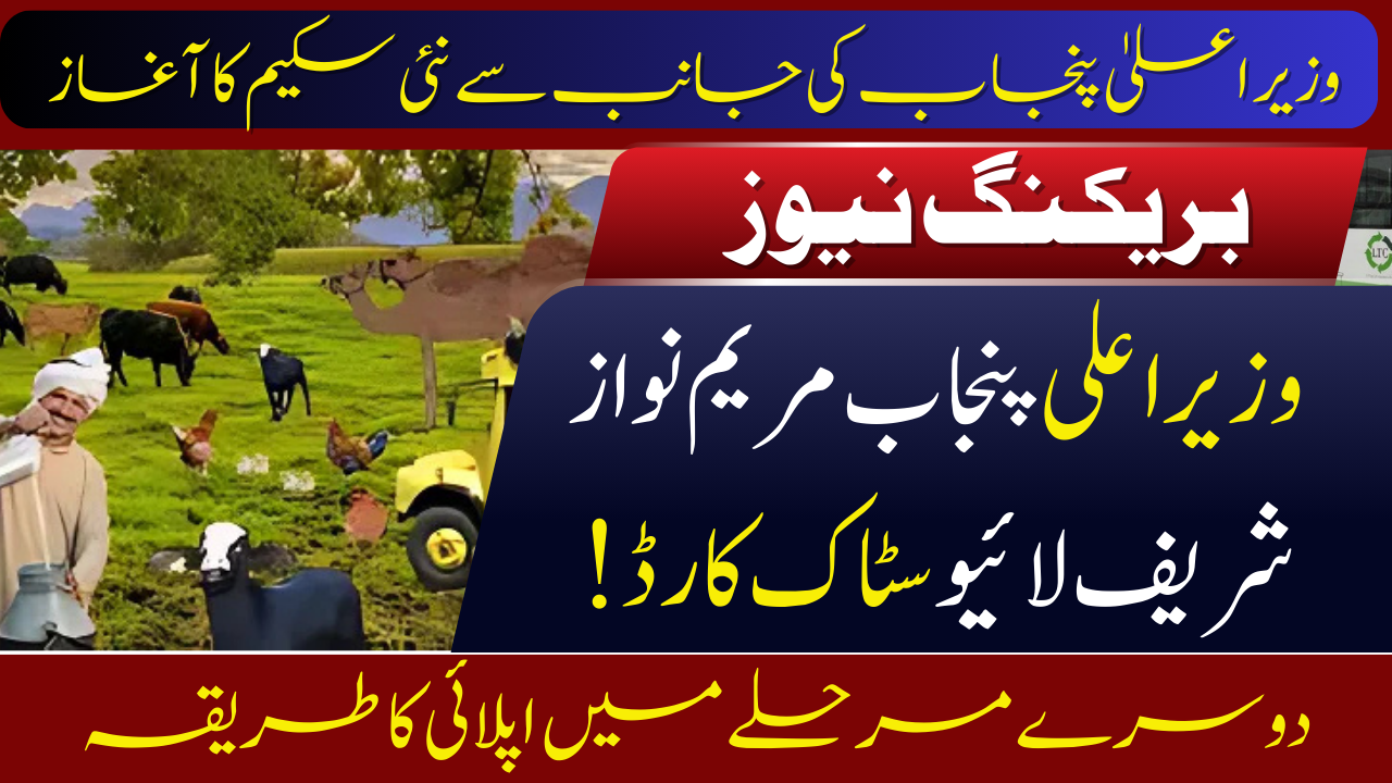 Pakistan Livestock Scheme