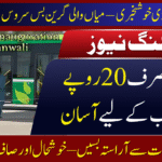 Mianwali Green Bus Service