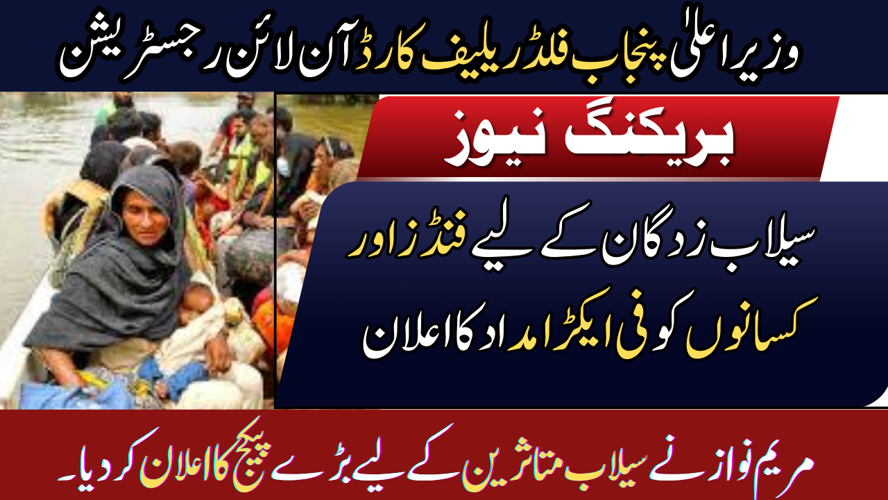 CM Punjab Flood Relief Card