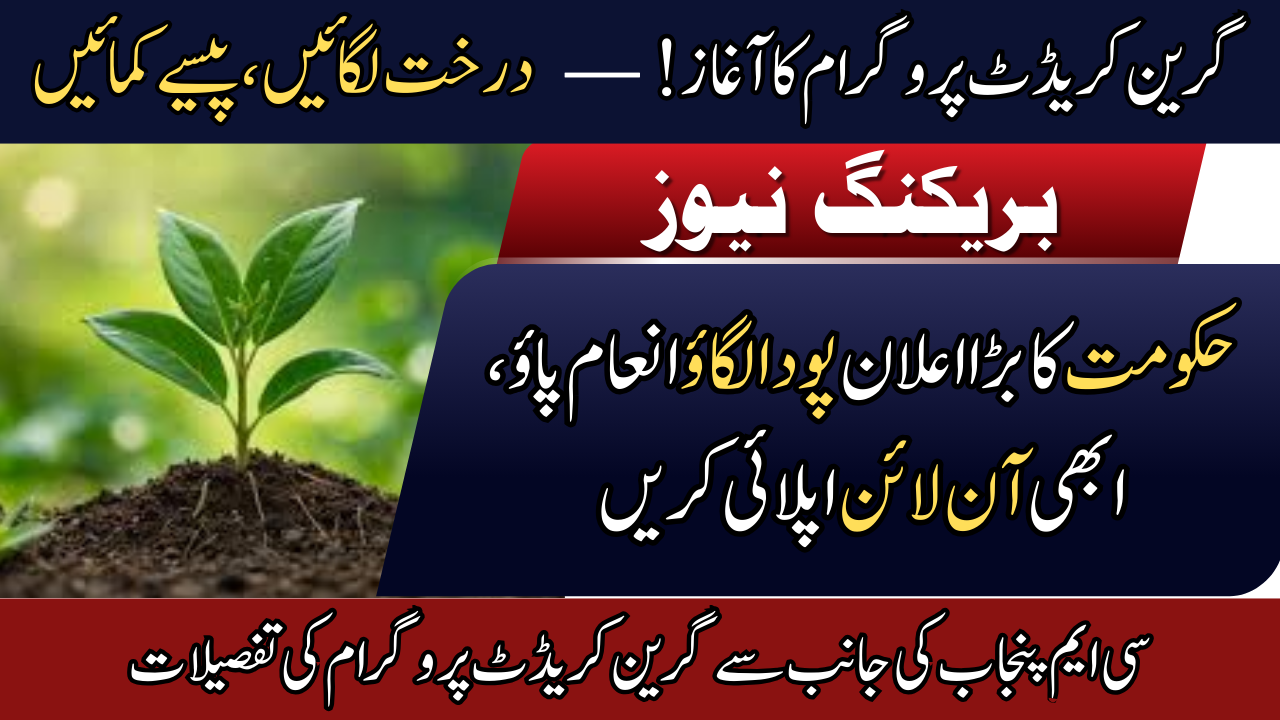CM Punjab Green Credit Program