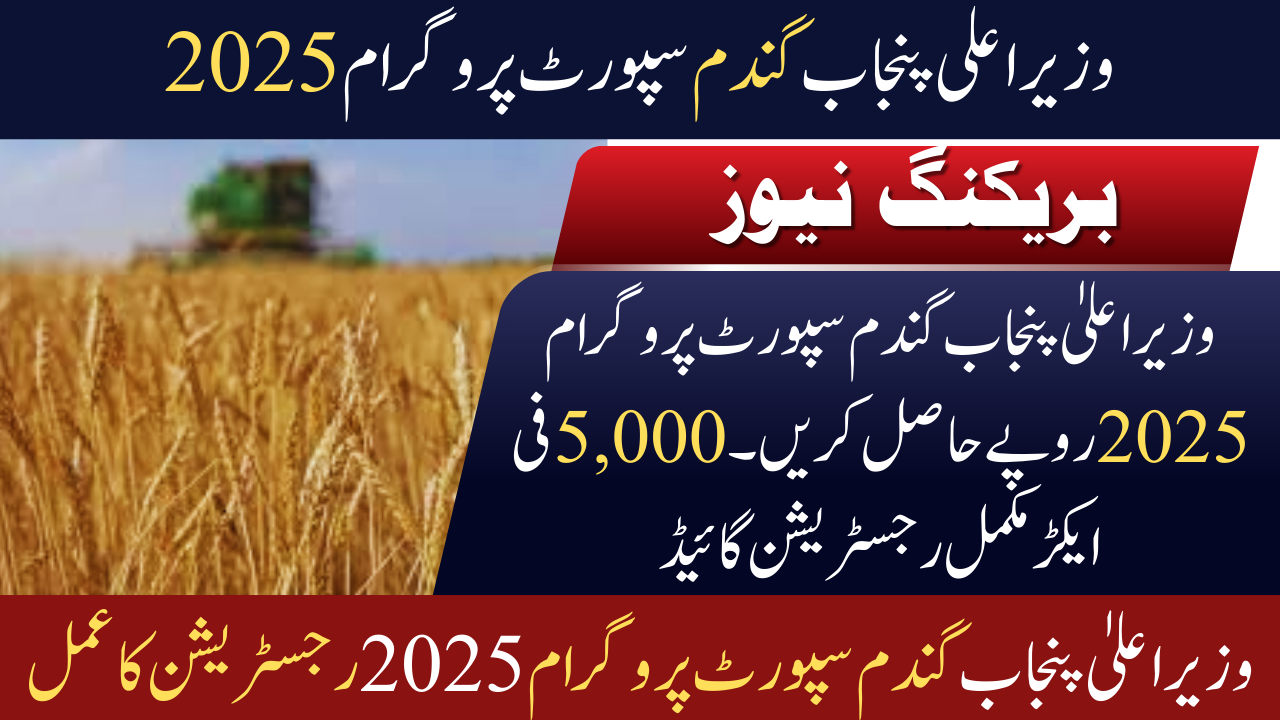 Punjab Wheat Support Program 2025 – Farmers to Get Rs. 5,000 Per Acre Subsidy
