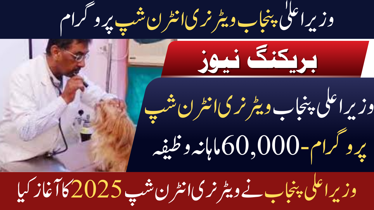 Chief Minister Punjab Veterinary Internship Program - 60,000 monthly stipend