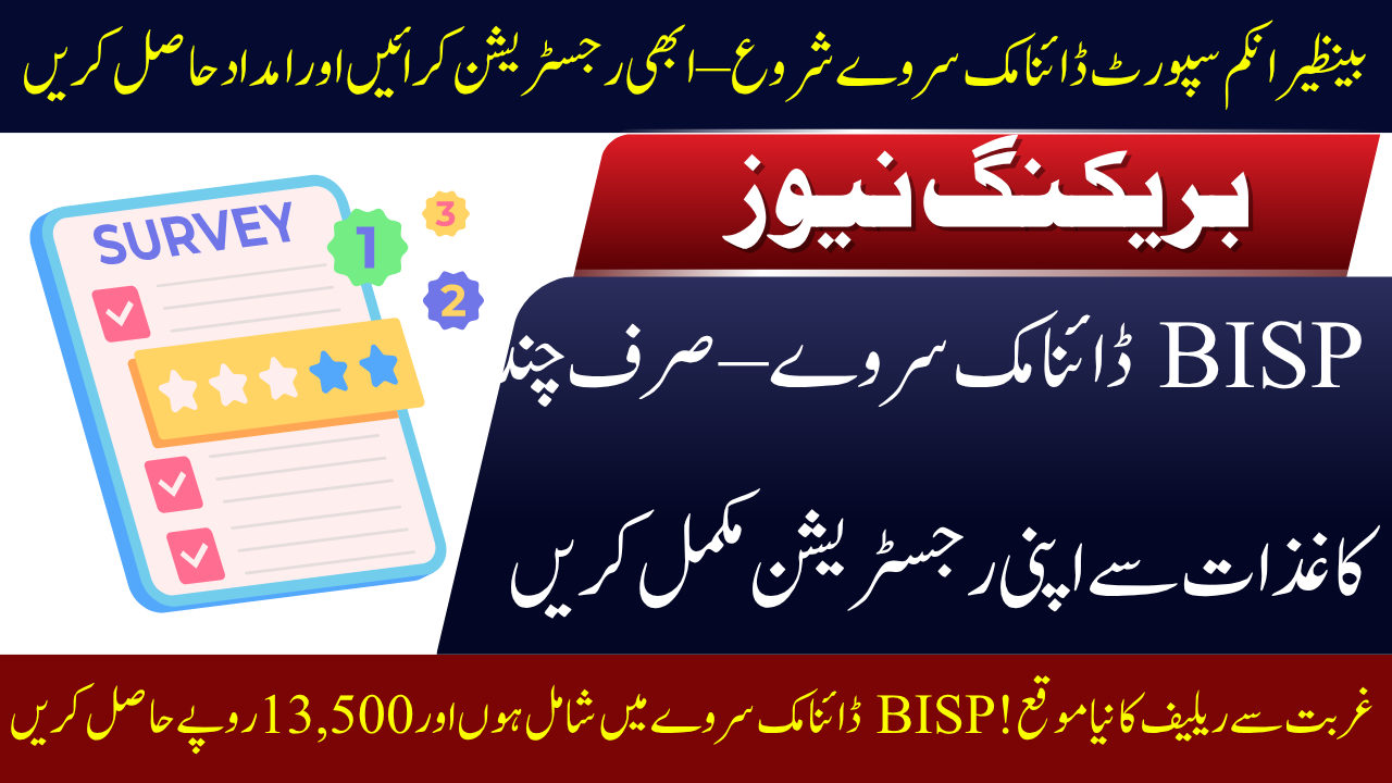BISP Dynamic Survey