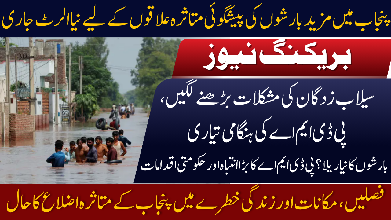 More Rains Forecast in Punjab