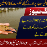 Protect Turtles and Boost Shrimp Trade