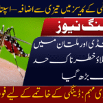 Dengue Cases
