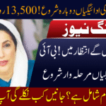 BISP Payments Restart
