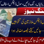 Punjab Plans