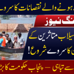 Punjab Flood Damage Survey
