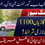 Punjab E-Taxi Scheme 2025
