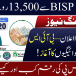 BISP 8171 Payments