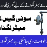 Apply Online for New Domestic Gas Connection 2025