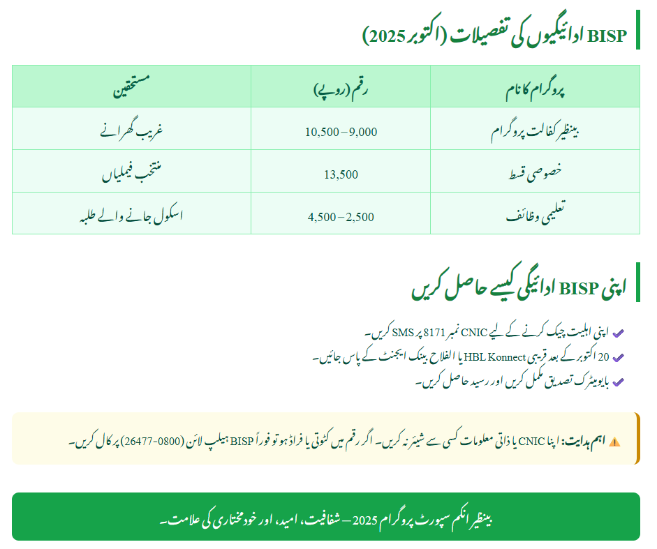 BISP 8171 Payments
