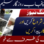 CM Punjab Rozgar Scheme