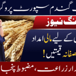 Punjab Wheat Support Program