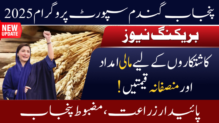 Punjab Wheat Support Program