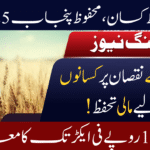 Punjab Crop Insurance Program
