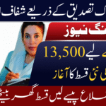 BISP 8171 Payment