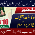Punjab Dialysis Program
