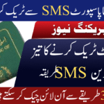 Track Your Passport in Pakistan