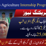 CM Punjab Agriculture Internship Program