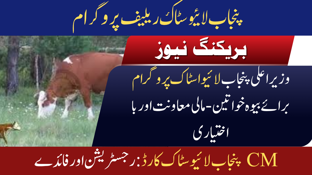 Punjab Widows Livestock Program