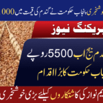 Wheat Seed Price