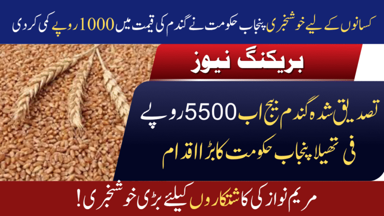 Wheat Seed Price