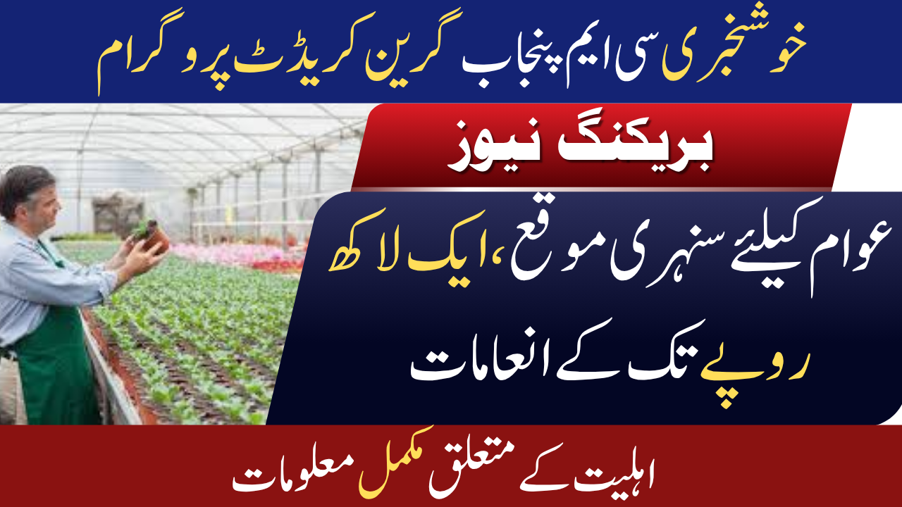CM Punjab Green Credit Program