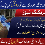 BISP Payment Delay October