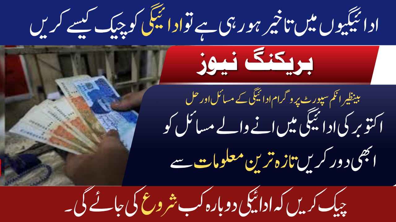 BISP Payment Delay October